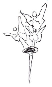 Angels pinheads Matter Spirit